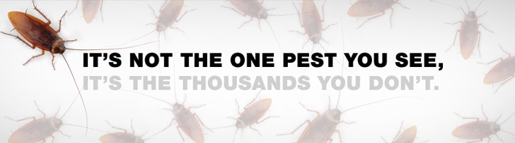 Pest Control Australia