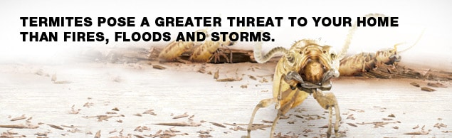 Pest Control Australia