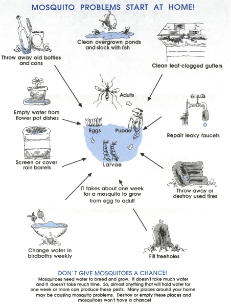 Pest Control Australia
