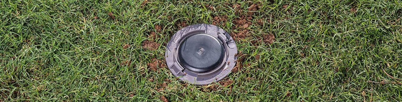 Pest Control Australia