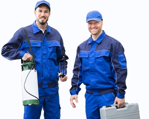 Pest Control Australia