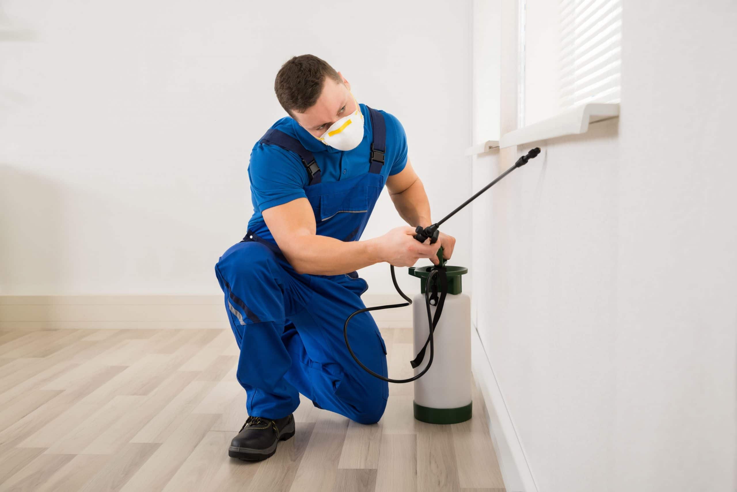 Pest Control Australia