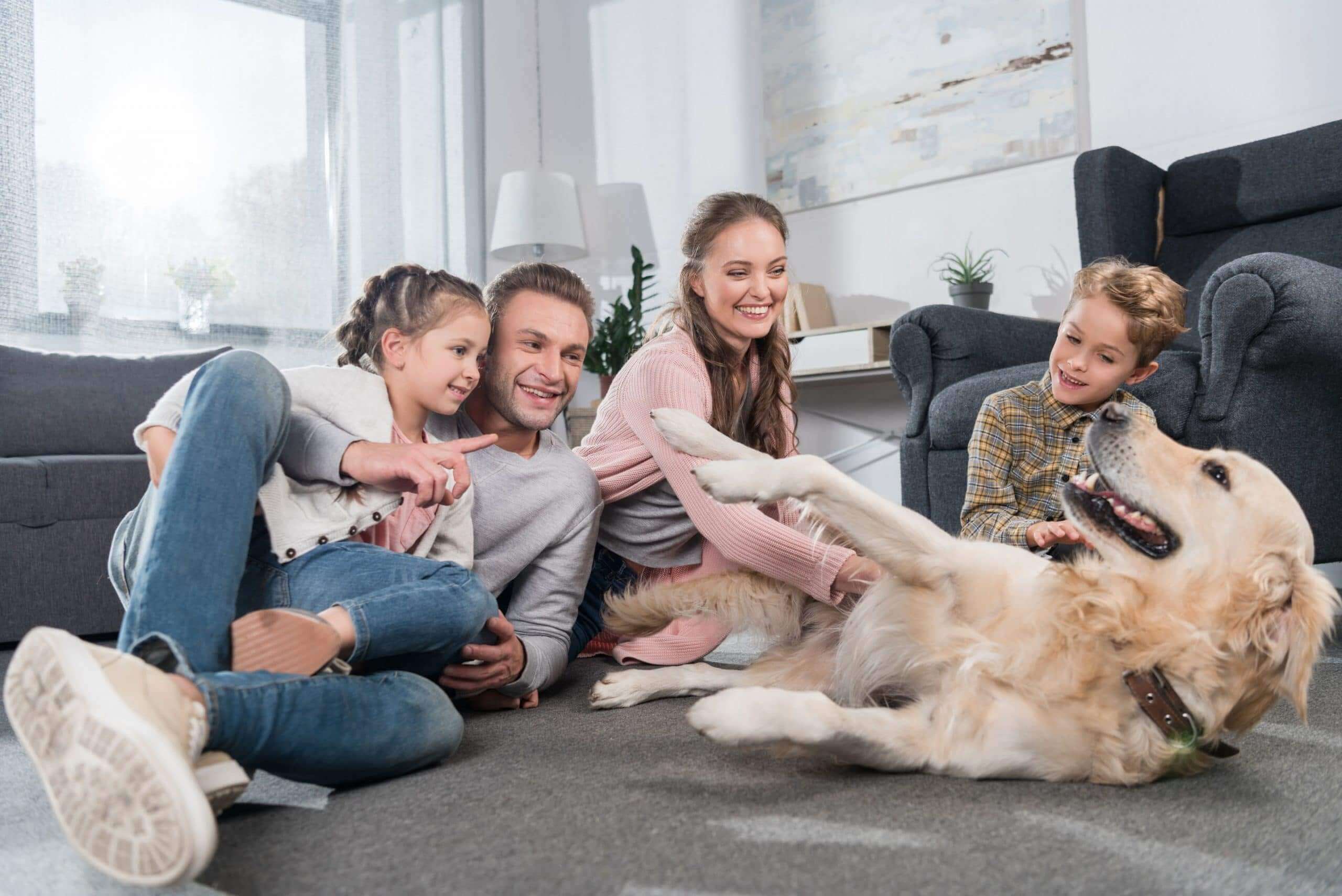 Pest Control Australia